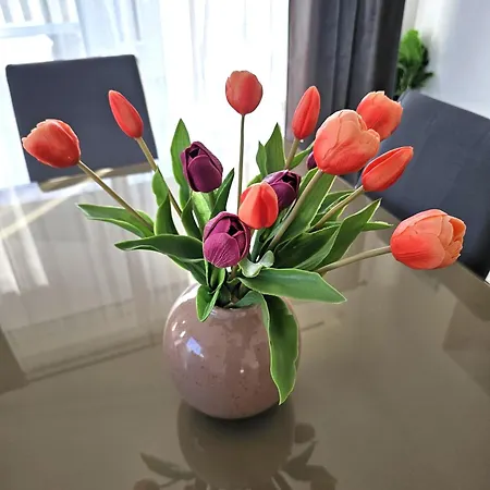 Zara Apartment *