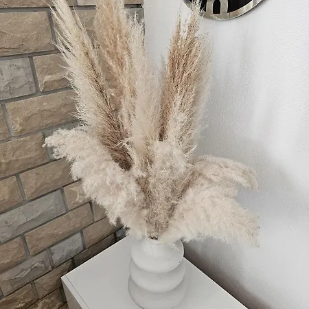 Zara Apartman *