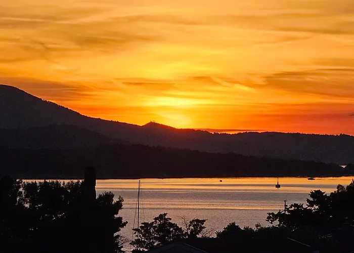 Zara ביוגראד נה מורו